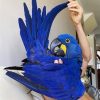 "Stunning Hyacinth Macaw Parrots for Sale – Large, vibrant blue exotic parrots with strong beaks and playful personalities. Perfect for bird enthusiasts and breeders. Order now!"