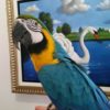 Blue & Gold Macaw Parrot - Image 4