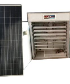 HB Poultry Eggs Incubator